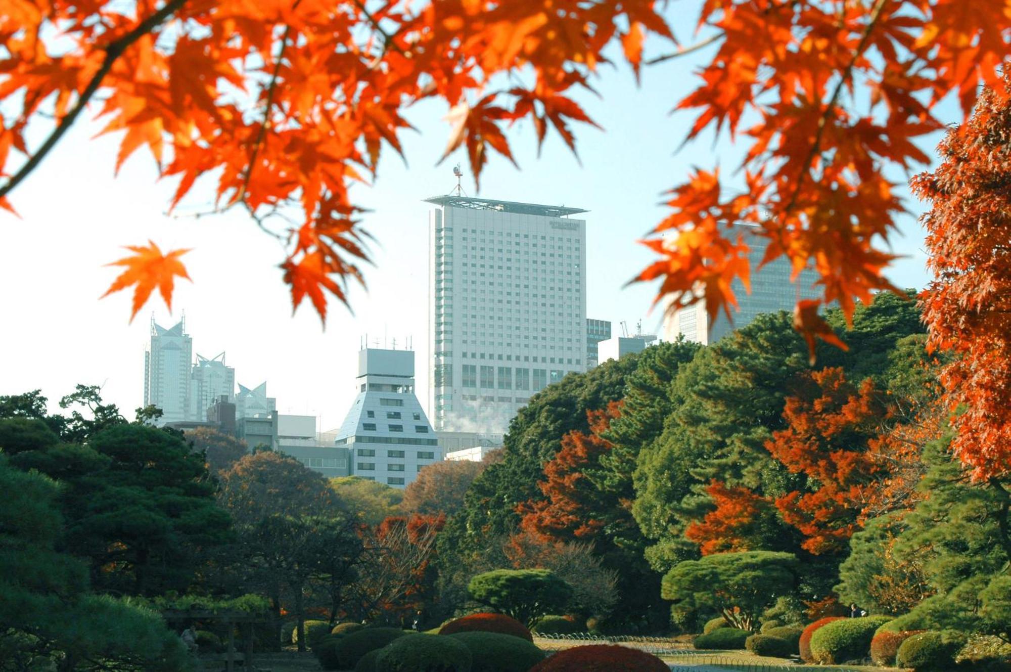 Odakyu Hotel Century Southern Tower — תמונות 1